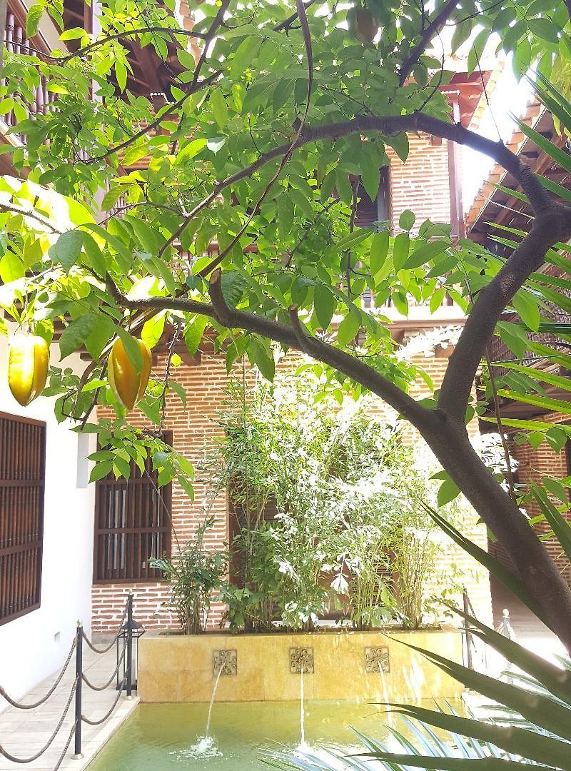 Capellan De Getsemani Cartagena
