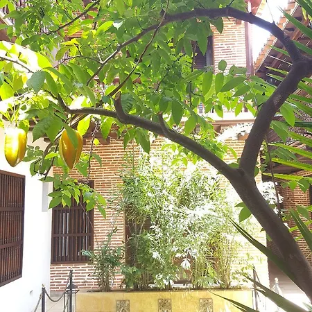 Capellan De Getsemani Cartagena